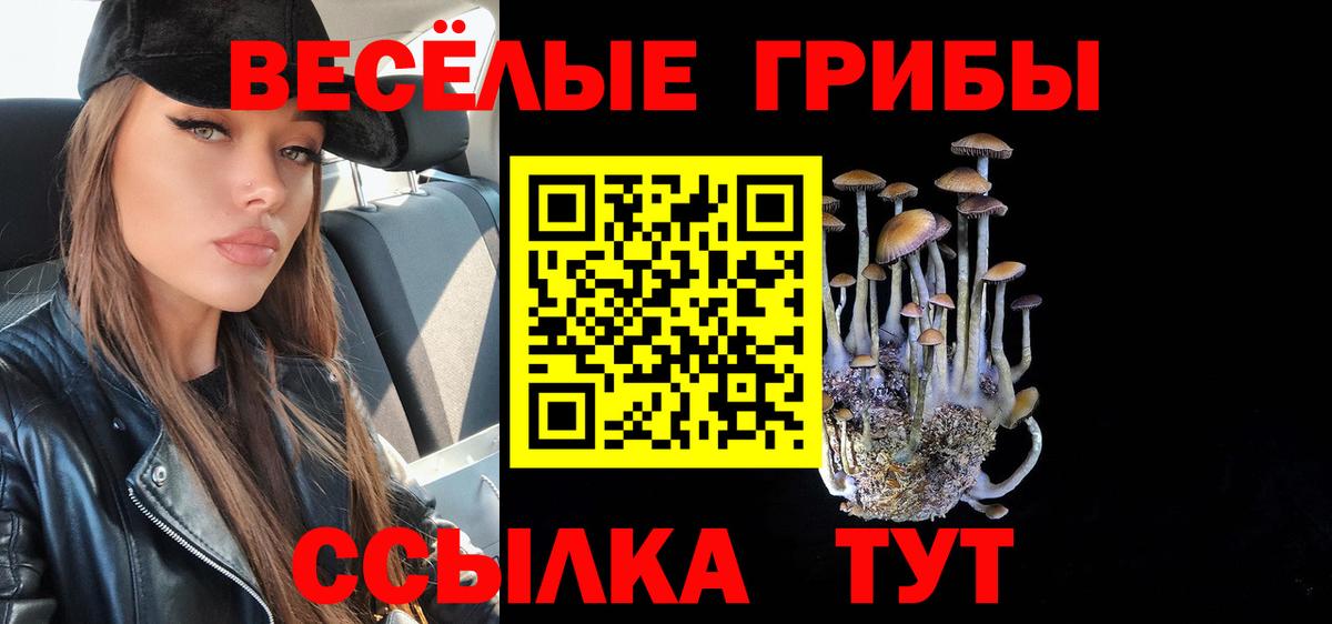 Галлюциногенные грибы мухоморы  Вход с VPN  Ишимбай 