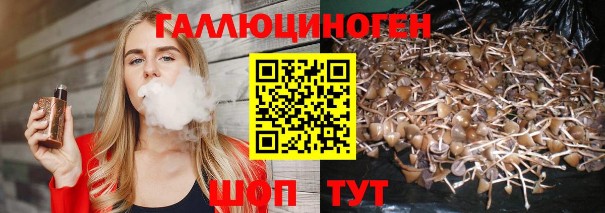 Псилоцибиновые грибы мицелий Ишимбай